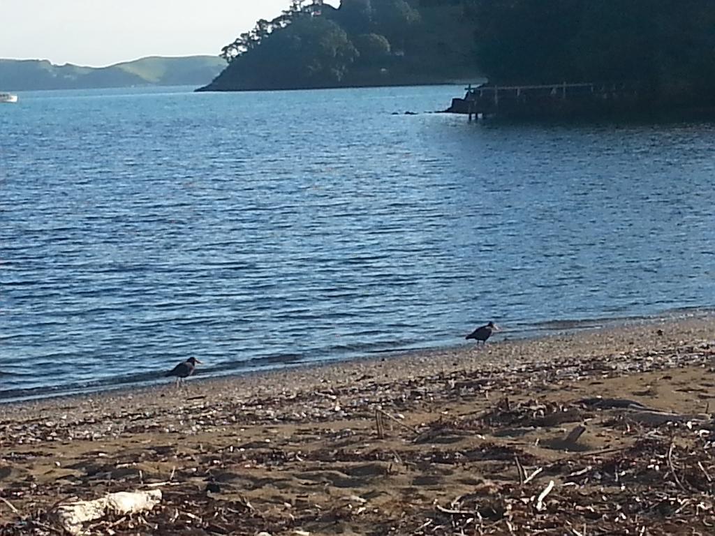 מלון Coromandel Oamaru Bay Tourist Park מראה חיצוני תמונה